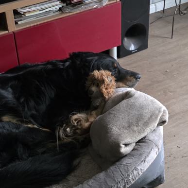 Chelsea und ihr Leo liegen auf ihrem Bett